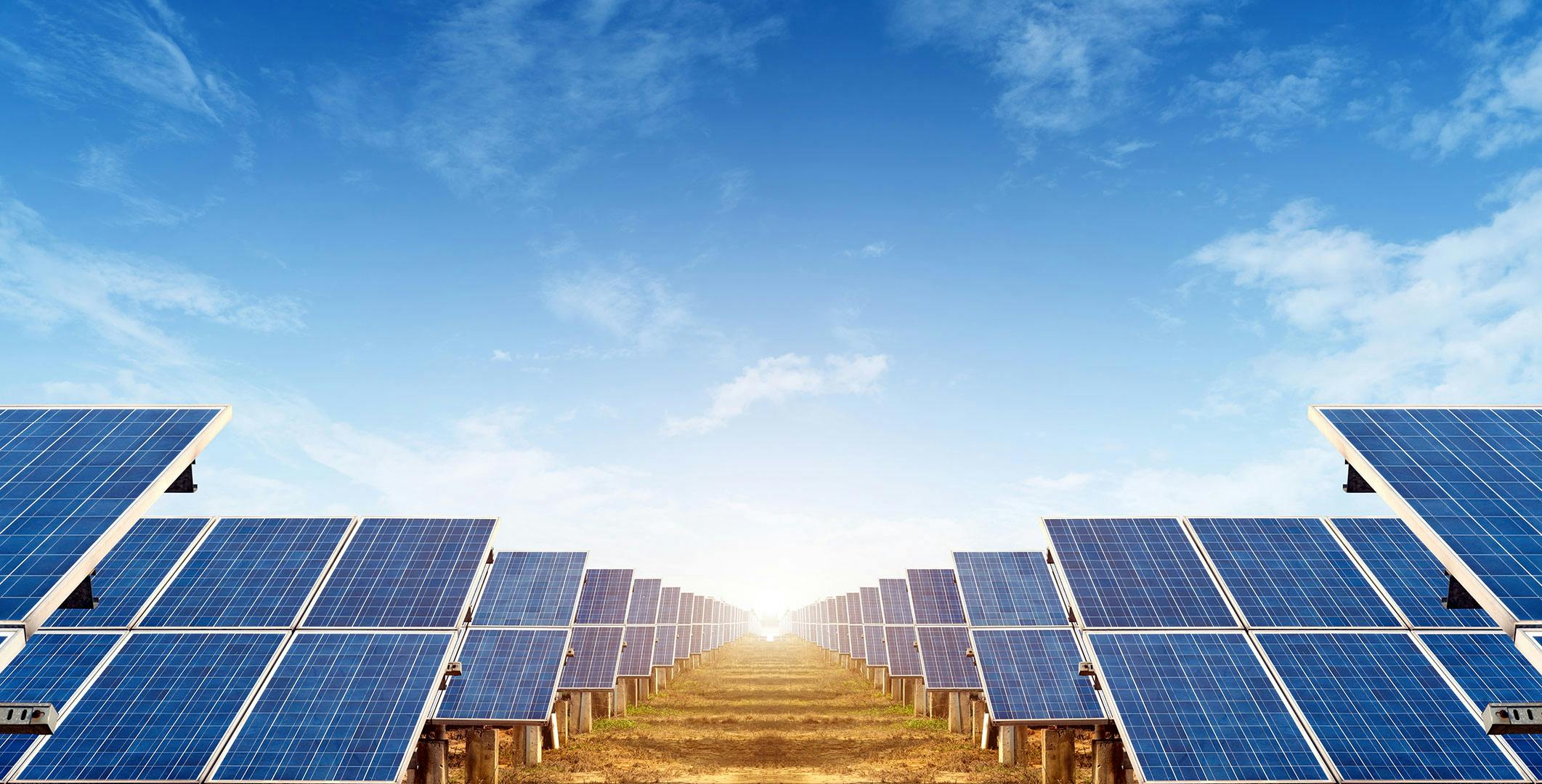 Field of solar panels